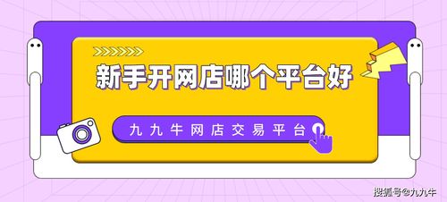 網店購買平臺有哪些 哪個平臺信譽好 