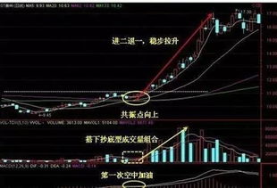 提高淘寶成交量的技巧有哪些 如何操作 