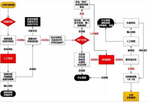 2025年抖音巨量千川投流漲粉怎么做 步驟解析 