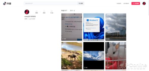 2025年抖音網頁版有哪些新功能 如何登錄入口找 
