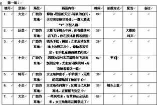 100個短視頻腳本案例解析
