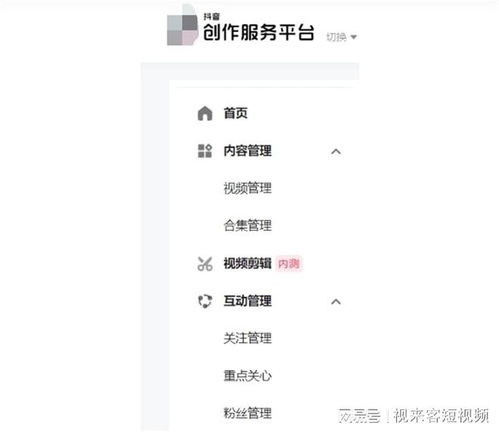 2025年抖音網頁登錄后怎樣打標簽 有什么技巧 