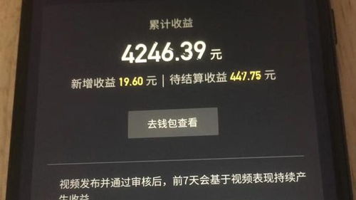 抖音賺了一百元是真的嗎 怎樣實現的 