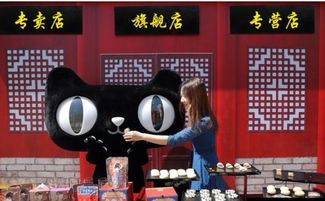 天貓旗艦店和專營店有哪些顯著差異 應該如何選擇 