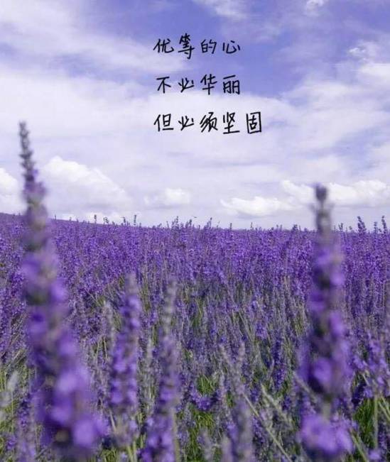 新年珠寶唯美宣傳句子,適合發首飾的文案,珠寶唯美宣傳句子