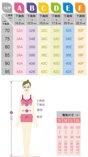 女生胸的尺碼對照表,教你區分胸圍ABCD,胸的尺碼對照表