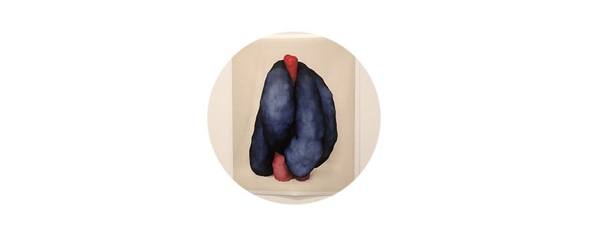 找一份在家可以工作的,網上工作在家可做的項目推薦,在家可以工作的