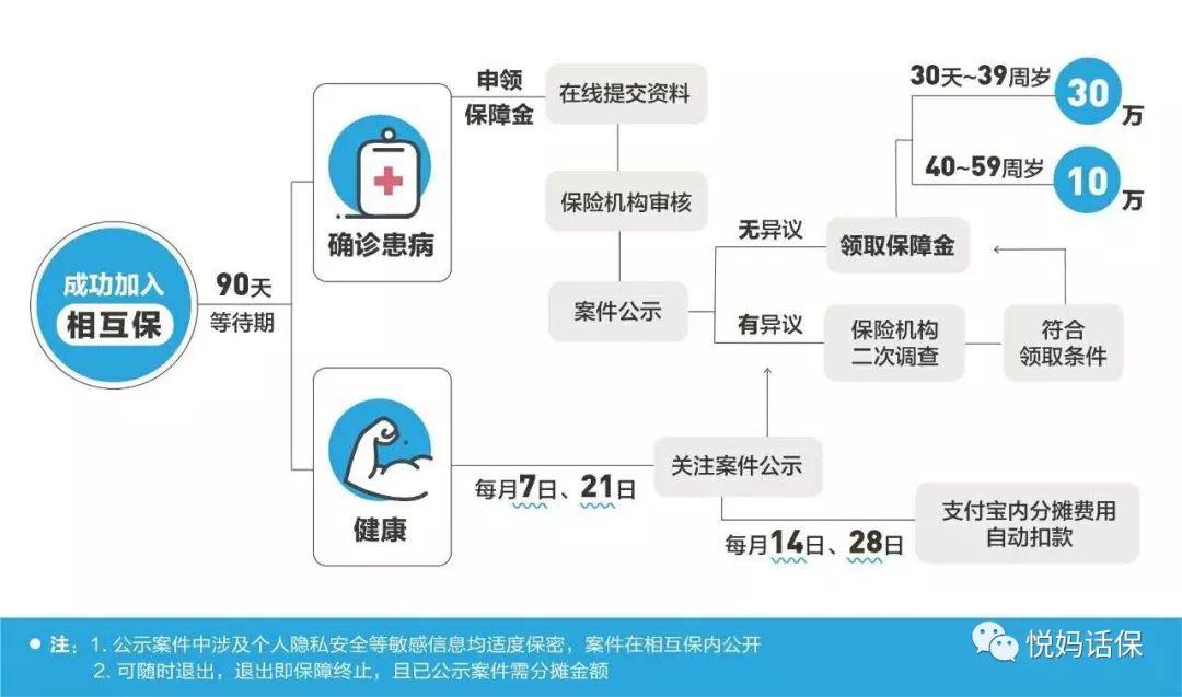 支付寶相互保真實可靠嗎,詳解支付寶相互保保障范圍,支付寶相互保