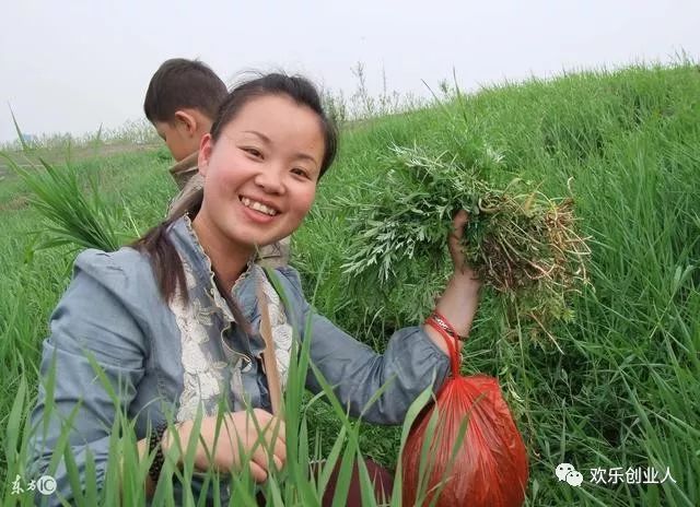 創(chuàng)業(yè)致富新穎點子,目前比較好的創(chuàng)業(yè)項目,創(chuàng)業(yè)致富點子