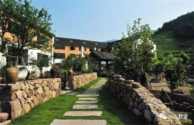 農村致富門路養什么好,當前投資少見效快的致富門路,農村致富門路