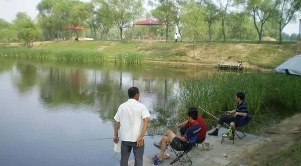 現(xiàn)在什么養(yǎng)殖賺錢又簡單,盤點新手比較掙錢又好銷售的項目,什么養(yǎng)殖賺錢