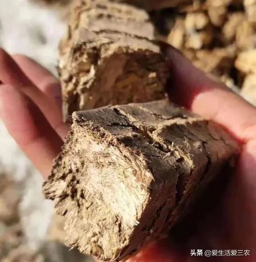 農(nóng)村小工廠暴利項(xiàng)目有哪些,家庭小型加工項(xiàng)目大全,農(nóng)村小工廠暴利