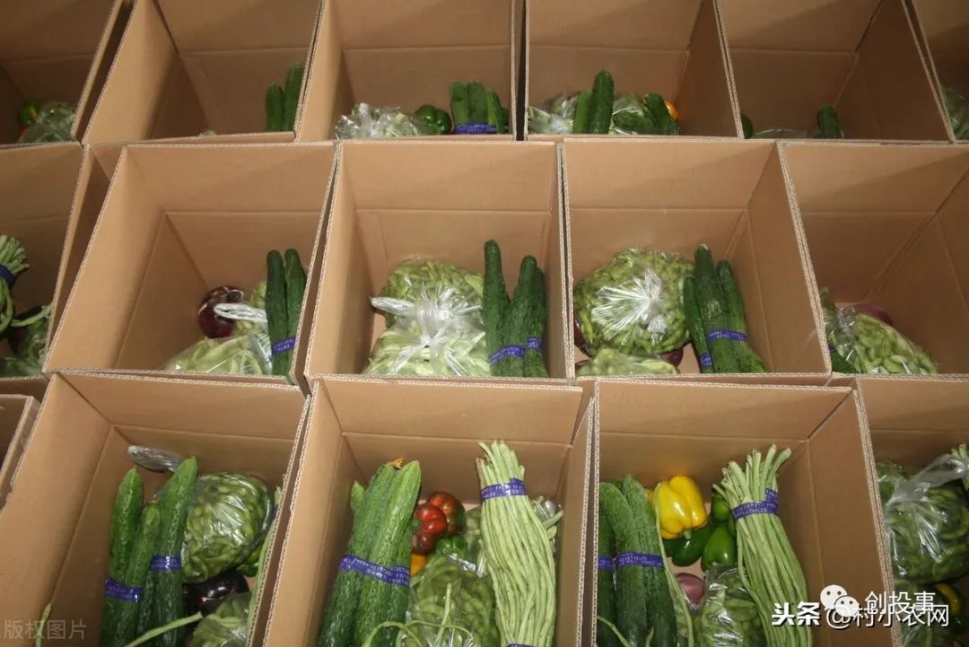 現在行情干什么能賺錢,月入2萬的10個小生意,干什么能賺錢