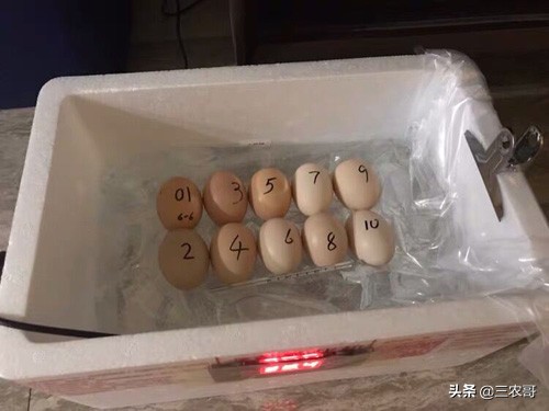 農村賺錢門路有哪些,農村最冷門的暴利行業,農村賺錢