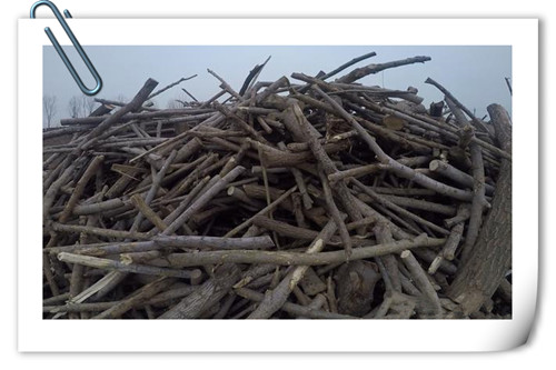 最新小型加工廠項目相關推薦,2一3萬元小型加工設備,最新小型加工廠項目