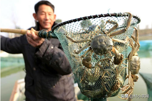 農村做什么項目投資小賺錢快,0元投資在家就能賺錢項目,什么項目投資小賺錢快