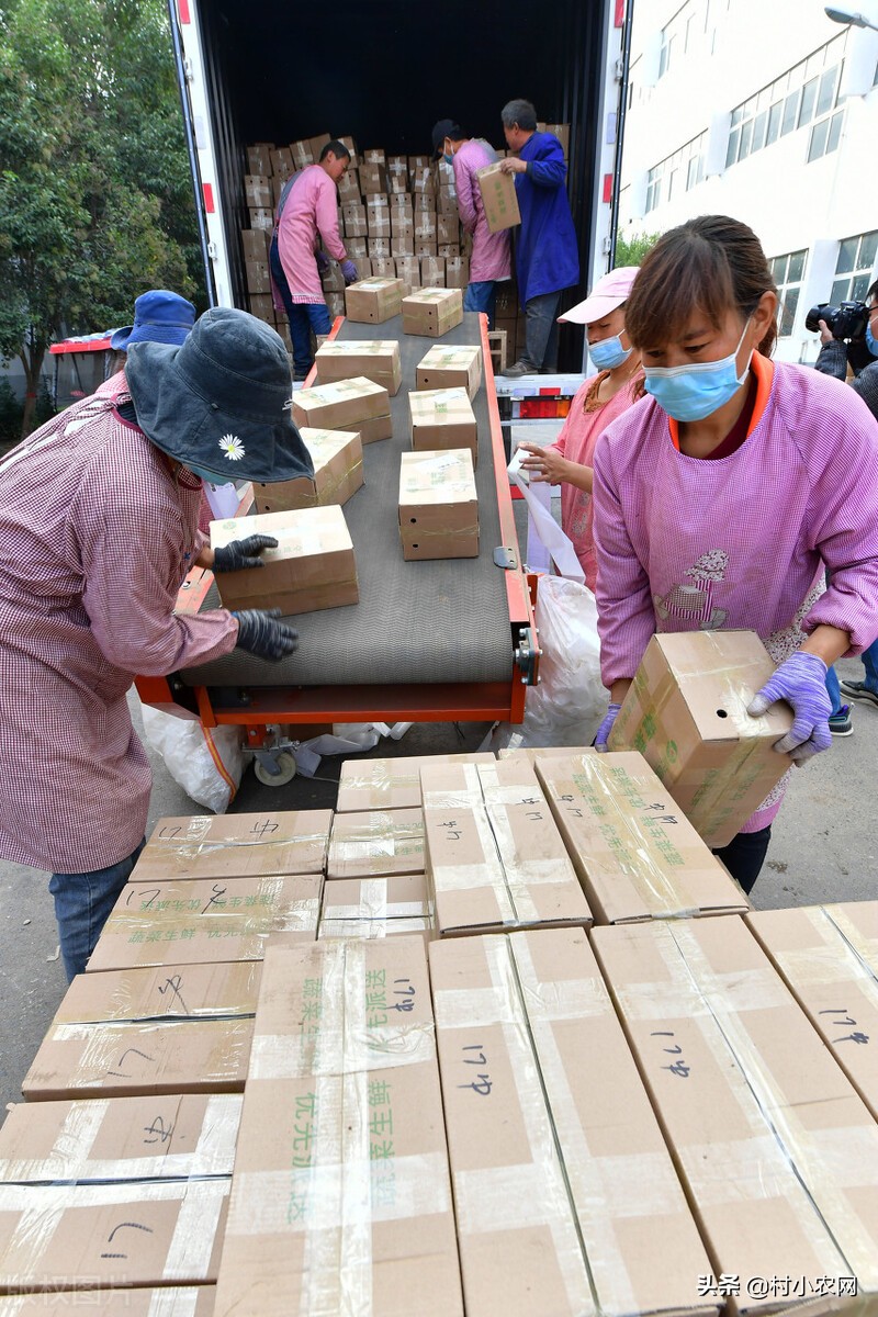 農村做什么項目投資小賺錢快,0元投資在家就能賺錢項目,什么項目投資小賺錢快