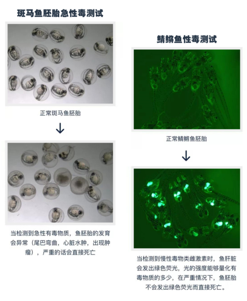 什么牌子的口紅好用不貴,大牌口紅排行榜,什么牌子的口紅好