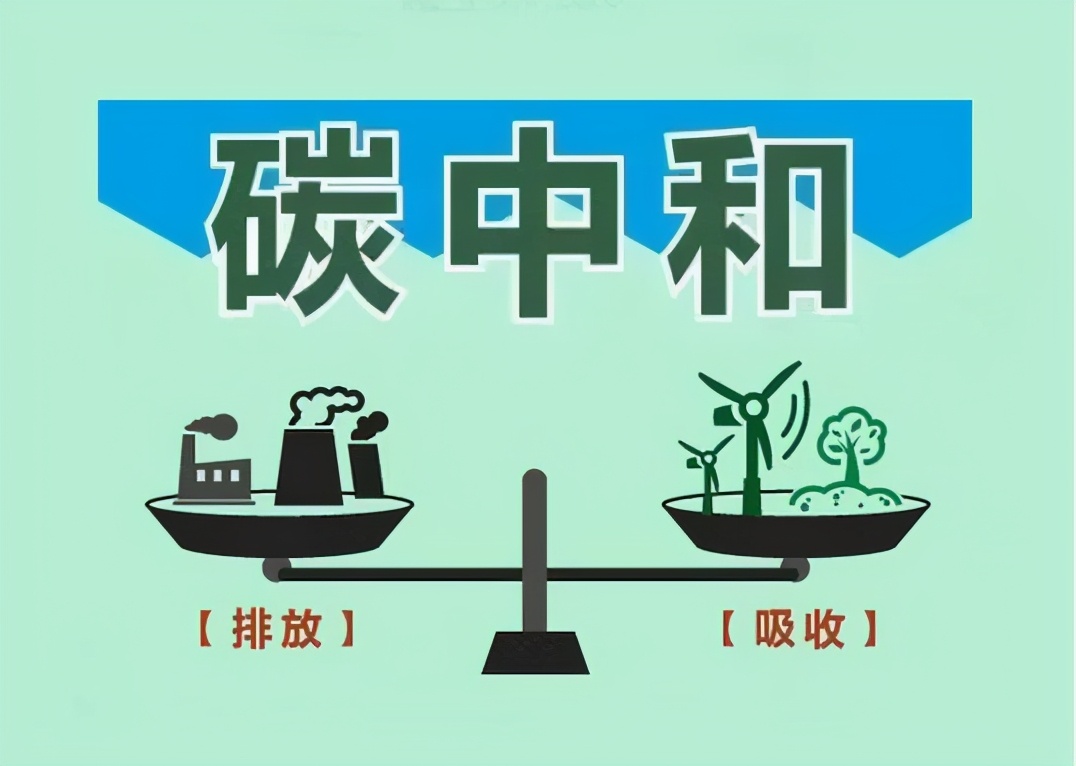 螞蟻森林能量產生細則,講解螞蟻森林背后的商業邏輯,螞蟻森林