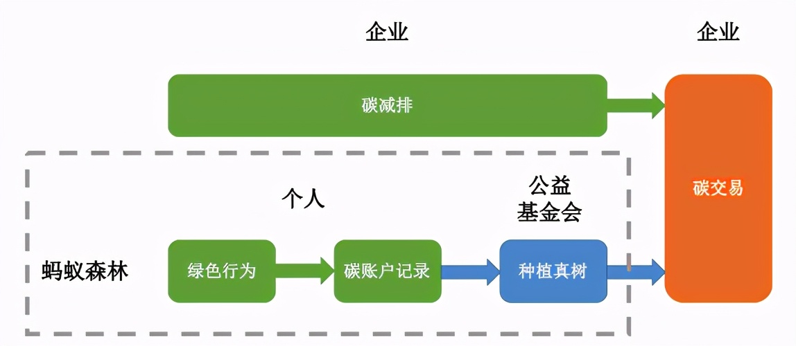 螞蟻森林能量產生細則,講解螞蟻森林背后的商業邏輯,螞蟻森林