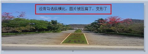 如何修改圖片大小？改變圖片大小的方法技巧