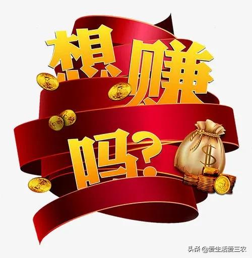 做小生意賺大錢案例,00后怎么賺錢白手起家,做小生意賺大錢
