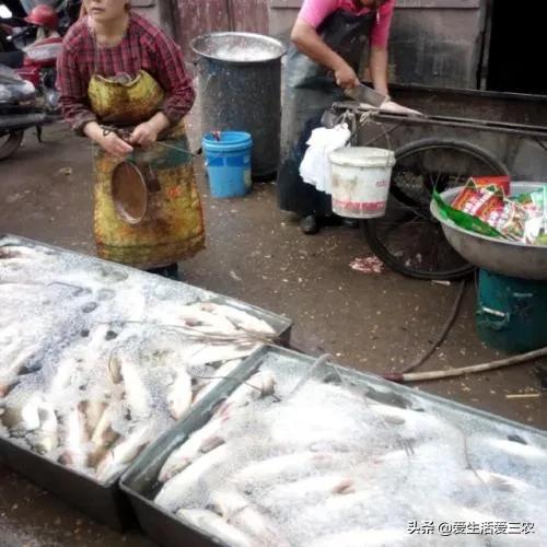 做小生意賺大錢案例,00后怎么賺錢白手起家,做小生意賺大錢
