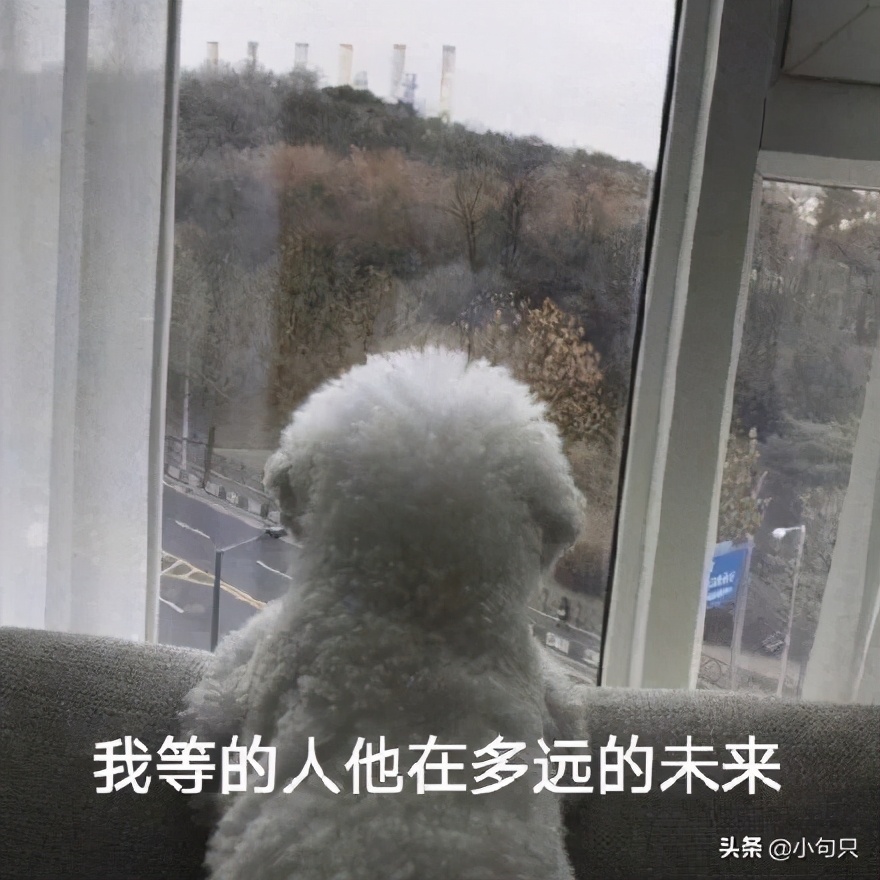 雙十一文案吸引顧客,吸引客人來消費的話,雙十一文案