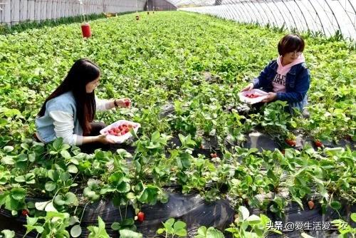 年輕人現在投資做什么項目好,投資5萬做什么小生意,現在投資做什么項目好