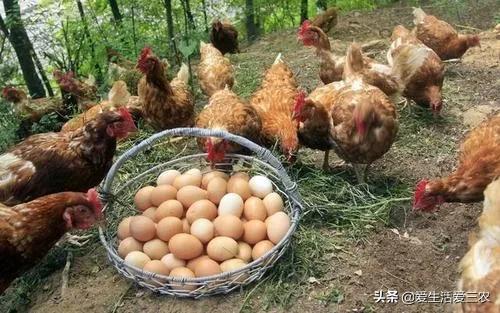 年輕人現在投資做什么項目好,投資5萬做什么小生意,現在投資做什么項目好