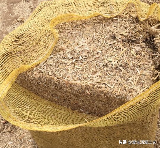 年輕人現在投資做什么項目好,投資5萬做什么小生意,現在投資做什么項目好