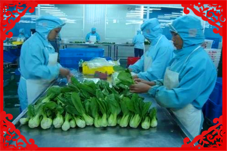 現(xiàn)在開什么廠比較好賺錢,小縣城適合開哪些加工廠,現(xiàn)在開什么廠比較好
