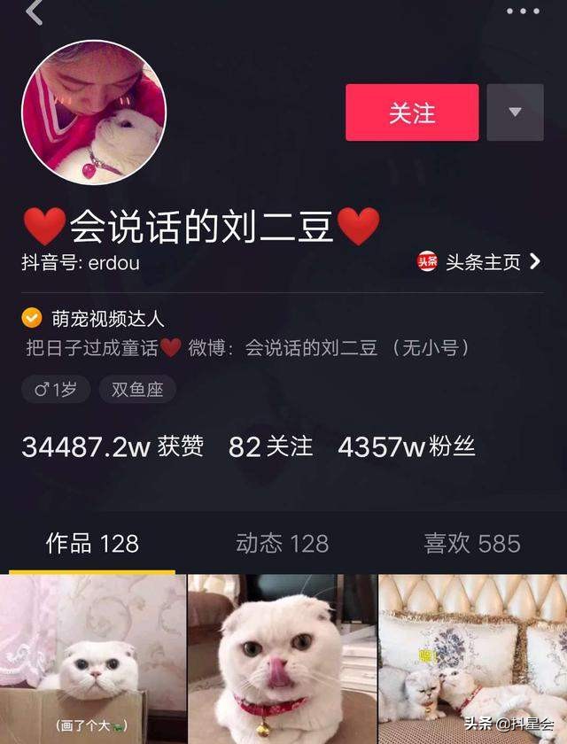 抖音內容分類怎么設置,新手抖音怎樣快速吸粉,抖音內容