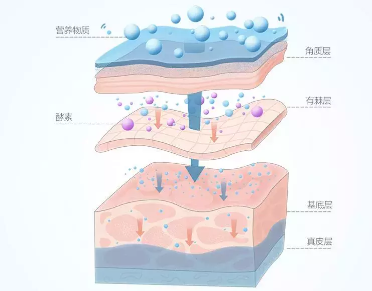 酵素面膜可以天天用嗎,盤點國家認可的酵素品牌,酵素面膜