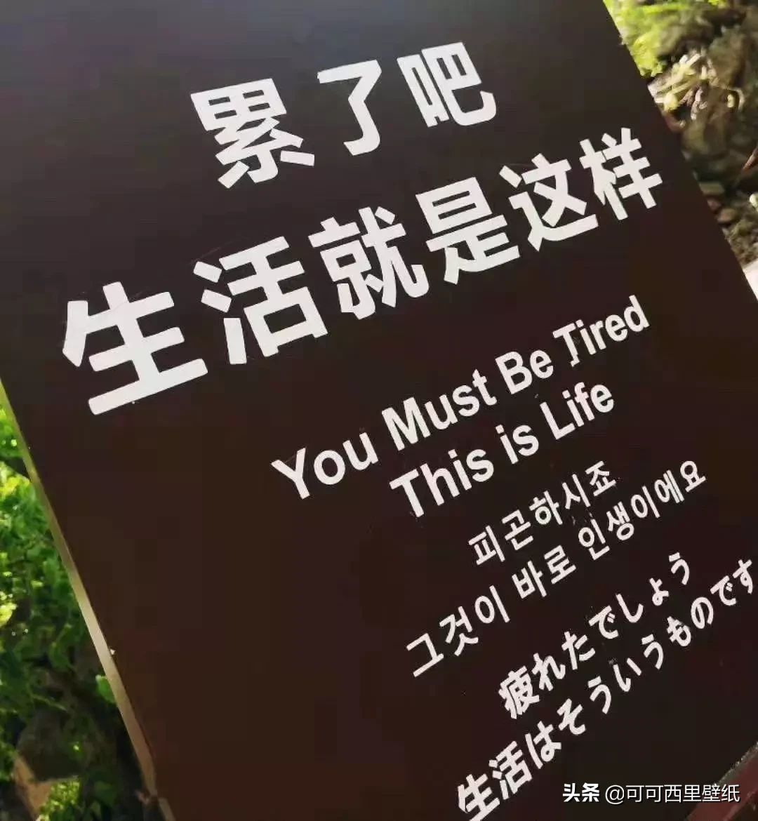 發抖音的圖片素材,適合發抖音好看的圖片整合,發抖音的圖片