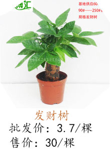投資小賺錢快的項目有哪些,2021年賺錢生意參考,賺錢快的項目