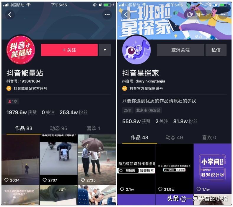 抖音號(hào)怎么搜索不到用戶(hù),知道抖音號(hào)卻搜索不出來(lái)怎么回事,抖音號(hào)怎么搜索