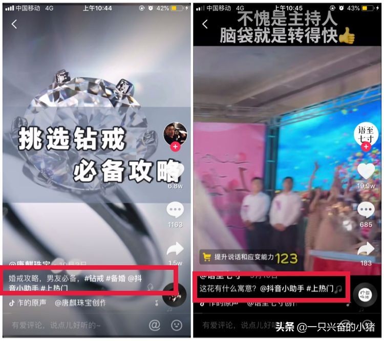 抖音號(hào)怎么搜索不到用戶(hù),知道抖音號(hào)卻搜索不出來(lái)怎么回事,抖音號(hào)怎么搜索
