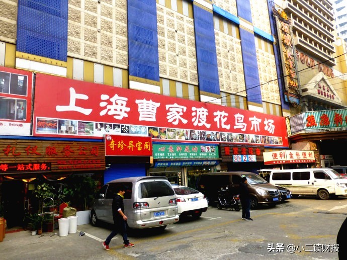 上海干貨批發(fā)市場(chǎng)在哪里,盤點(diǎn)上海批發(fā)零食的地方,上海干貨批發(fā)市場(chǎng)