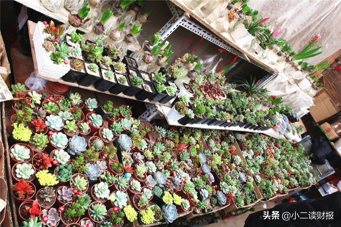 上海干貨批發(fā)市場(chǎng)在哪里,盤點(diǎn)上海批發(fā)零食的地方,上海干貨批發(fā)市場(chǎng)