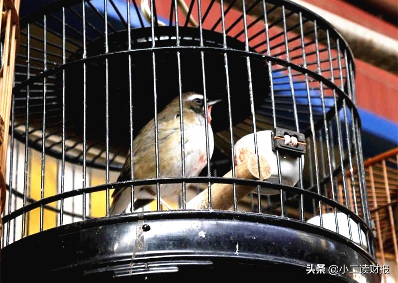 上海干貨批發(fā)市場(chǎng)在哪里,盤點(diǎn)上海批發(fā)零食的地方,上海干貨批發(fā)市場(chǎng)