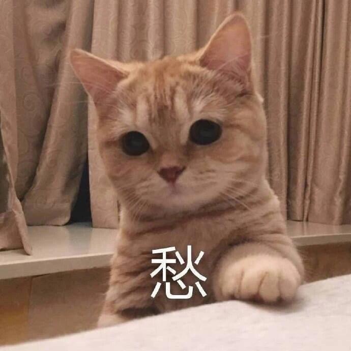 搞笑霸氣群名稱大全,有凝聚力的團(tuán)隊(duì)名字,群名稱大全