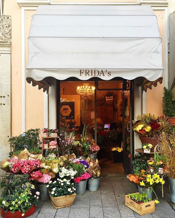 新手如何開花店,指南開花店要學會哪些東西,如何開花店