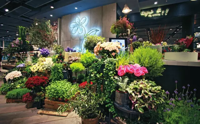 新手如何開花店,指南開花店要學會哪些東西,如何開花店