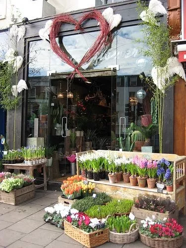 新手如何開花店,指南開花店要學會哪些東西,如何開花店