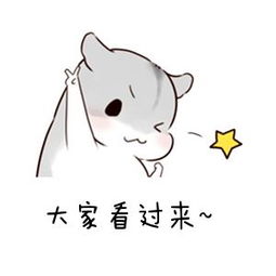 交水費的網上營業廳,手機水費怎么網上繳費流程,交水費