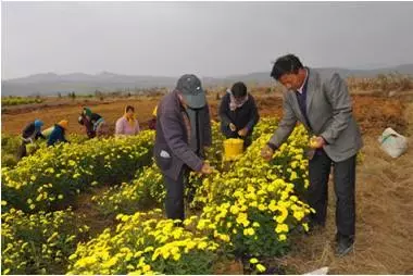 創業沒資金怎么解決,想創業沒錢怎么貸款,創業沒資金怎么辦