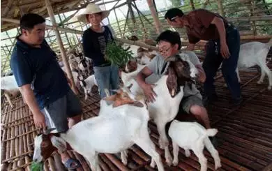 創業沒資金怎么解決,想創業沒錢怎么貸款,創業沒資金怎么辦