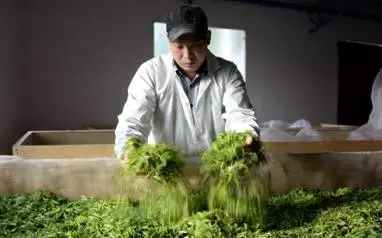 創業沒資金怎么解決,想創業沒錢怎么貸款,創業沒資金怎么辦