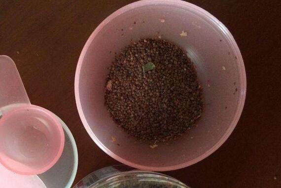海藻面膜用什么水調(diào)效果比較好,解答海藻面膜調(diào)稀的好還是稠的好,海藻面膜用什么水調(diào)